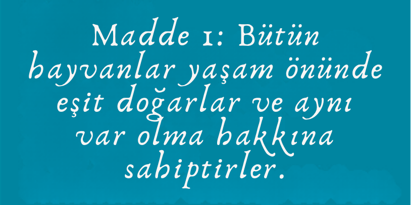 Hayvan Hakları Evrensel Beyannamesinin Henüz Bir Bağlayıcılığı Yok